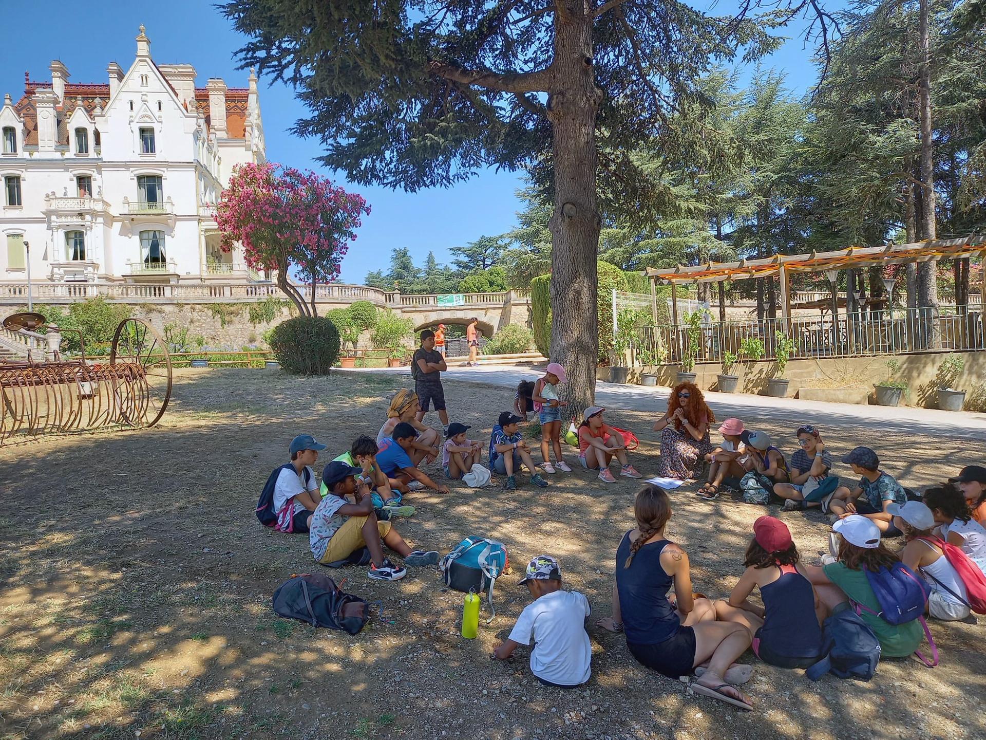 Formation_BAFA_activité
