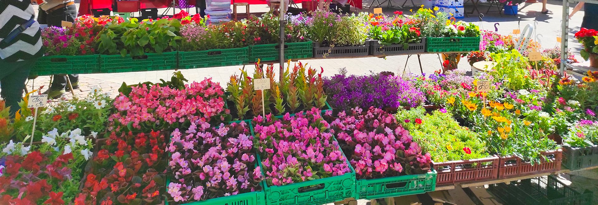 Marché_de_printemps_à_Nègrepelisse