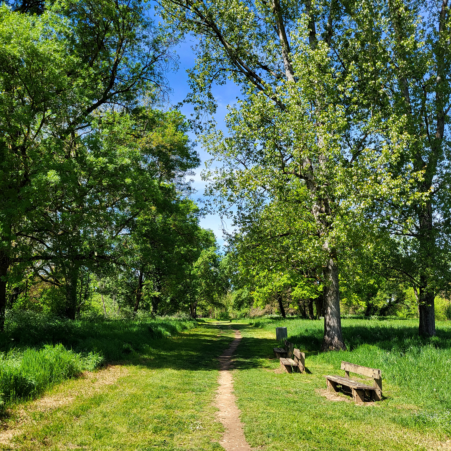Chemin_île_nègrepelisse