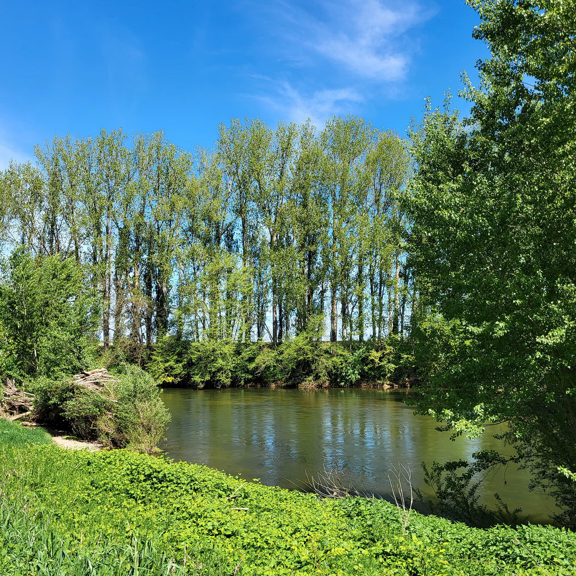 Ile_de_Nègrepelisse
