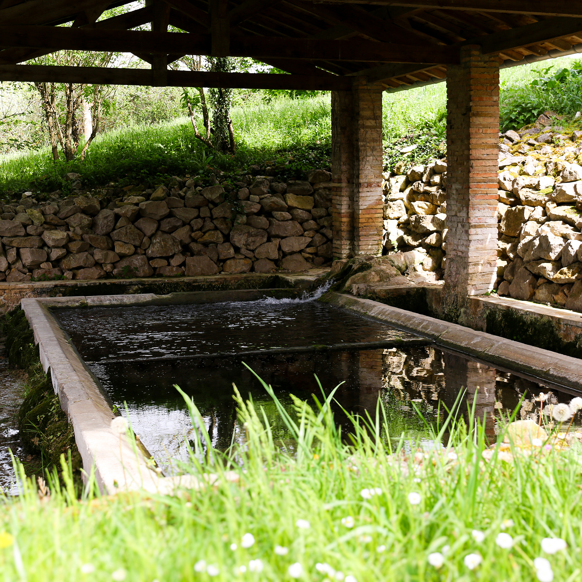 Lavoir_à_nègrepelisse