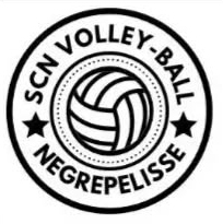 Logo_volley_ball_nègrepelisse