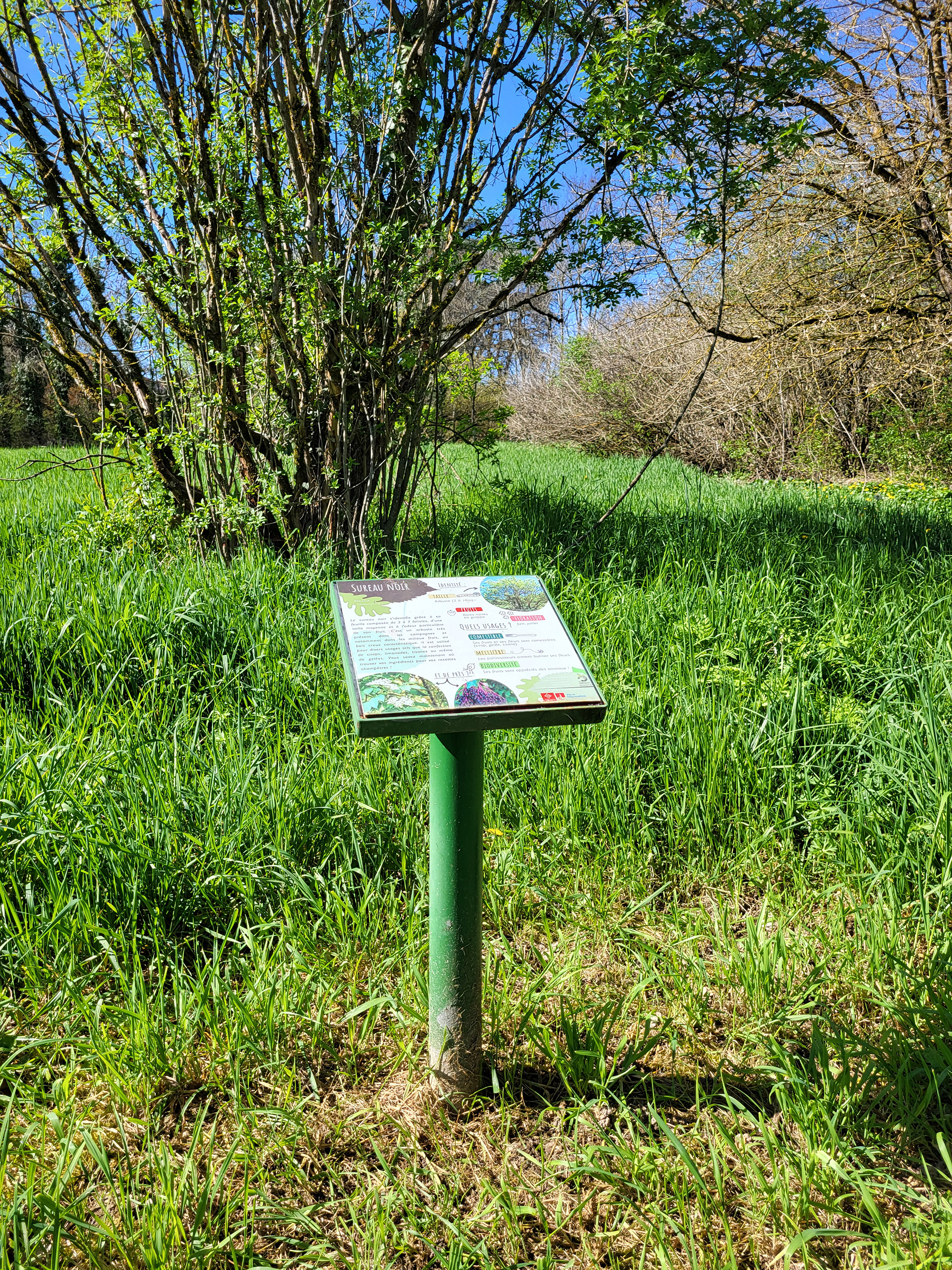 Panneau_arbre_île_nègrepelisse