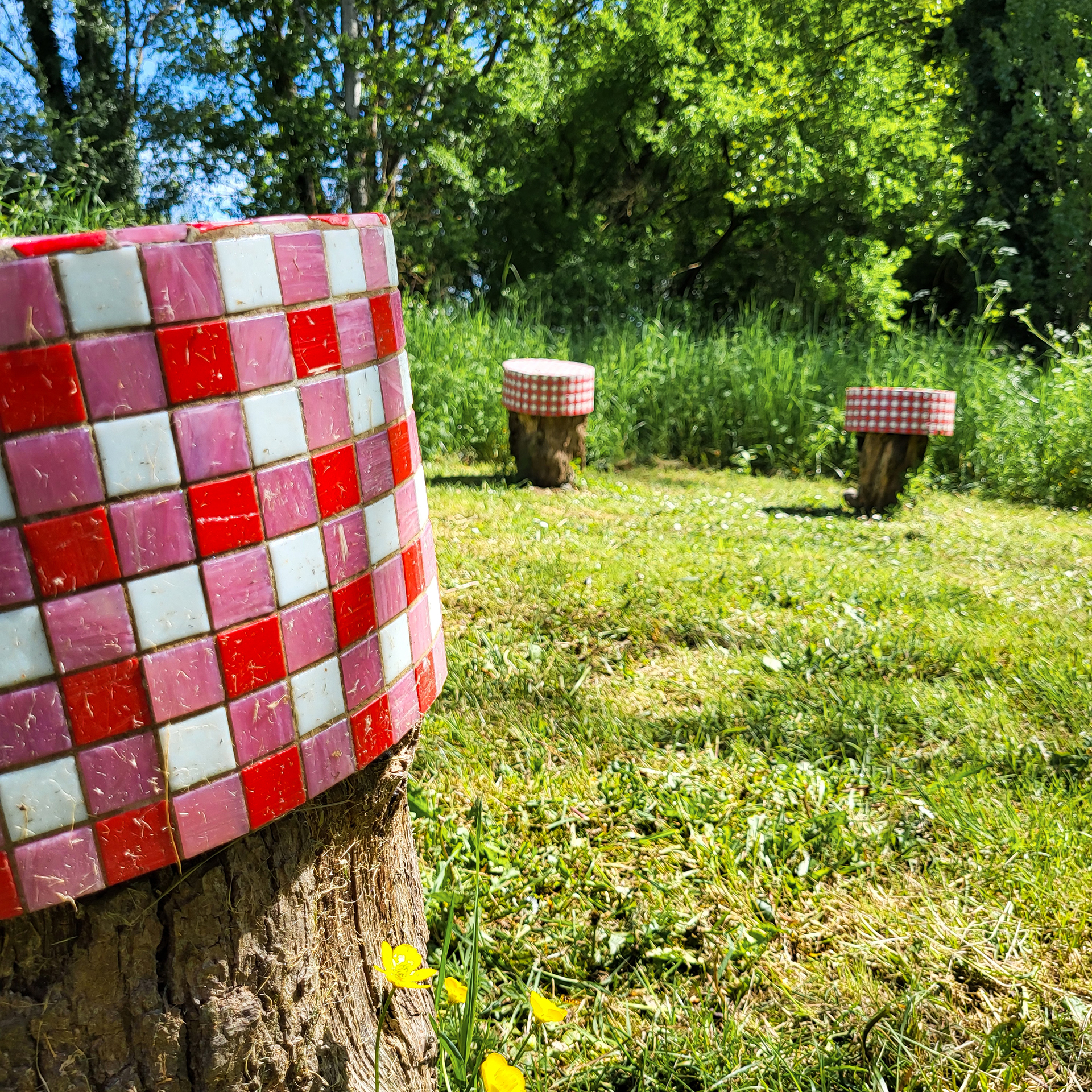 Siège pique-nique île nègrepelisse artiste 5.5 tarn-et-garonne