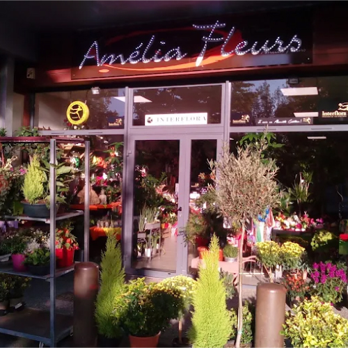 Logo_amelia_fleurs_nègrepelisse