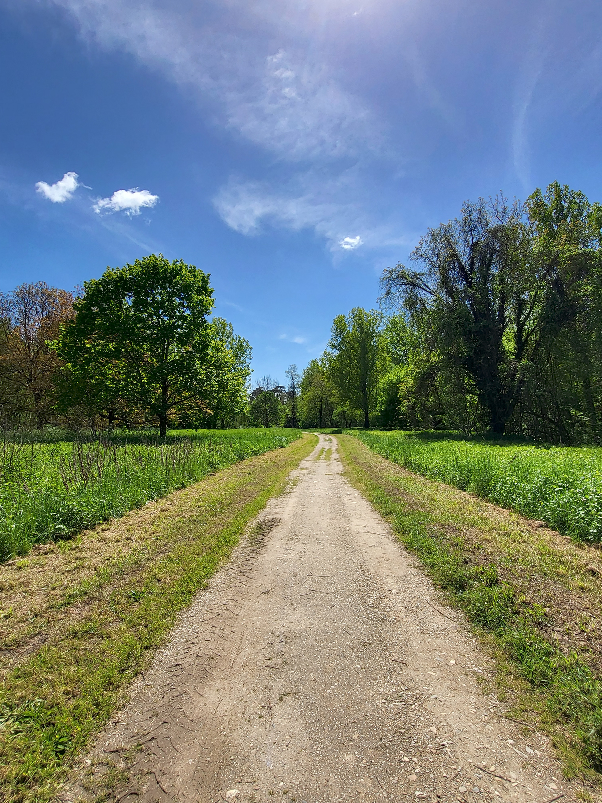 Chemin_promenade_ile_nègrepelisse