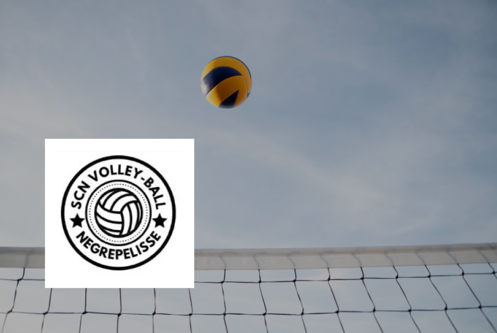 Visuel_photo_et_logo_SCN_Volley_Ball
