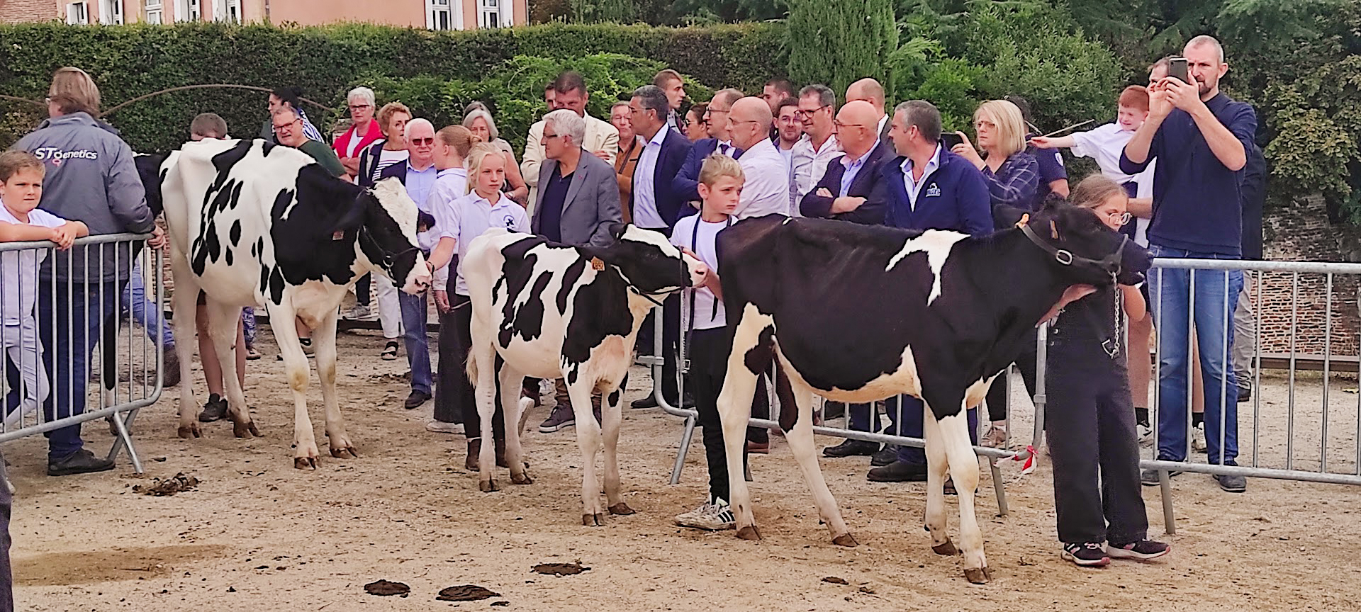 Concours_prim_holstein_comice